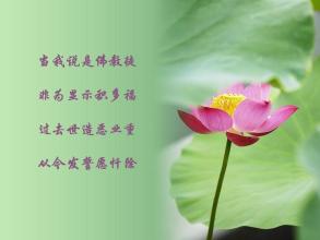 佛教感恩节