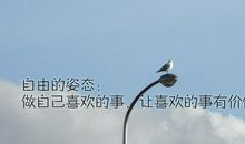 励志文章：一点一点的成功