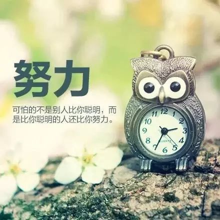 励志文章：渡轮自己