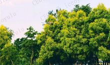 励志文章：人生多磨难，要为自己多鼓掌