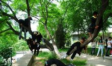 刚上大一的时候