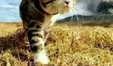 把行动交给现在，把结果交给时间