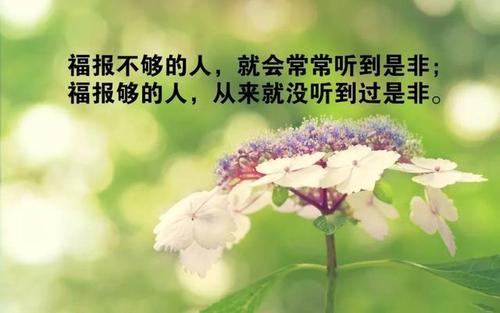 奋斗是生活的过程，而不是结果