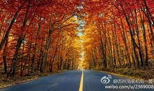 不立即行动，就意味着放弃