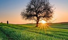 每一天都去播种