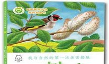 第一次亲密接触读后感