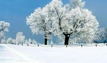 描写雪花的好段