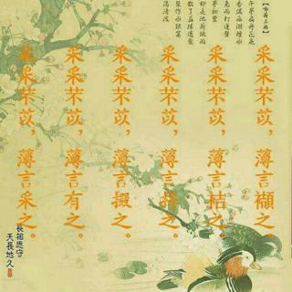 诗经：羔羊