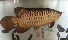 耐住寂寞才会赢