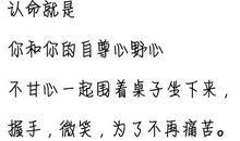 比较好听的句子