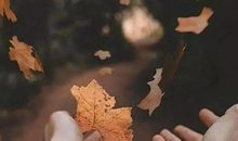 温馨甜蜜的句子