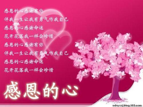 感激社会