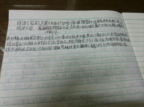 理想细分
