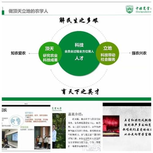 我对中国梦的构图