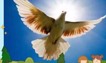 经典语录：幸而数载寒窗苦，自此阡陌多暖春