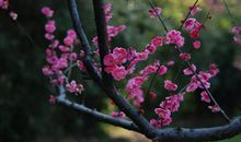 感念那些温暖心灵的陌生人