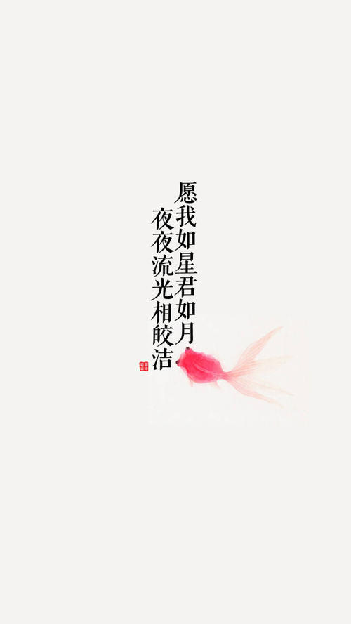 经典语录：我可以像星星和月亮一样，每天晚上明亮