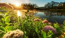 穿过黑暗的夜，才懂黎明的晨