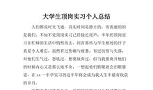 半年顶岗实习自我总结