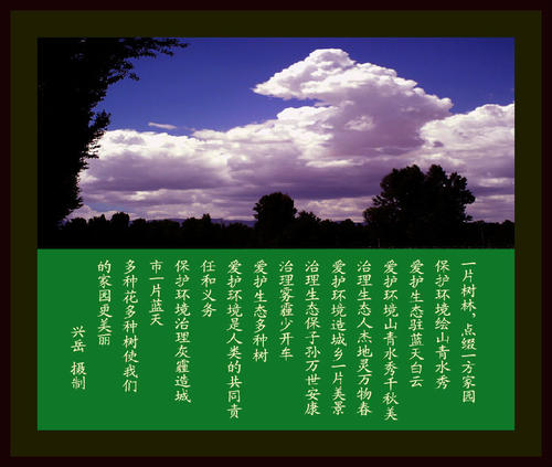 环保声明