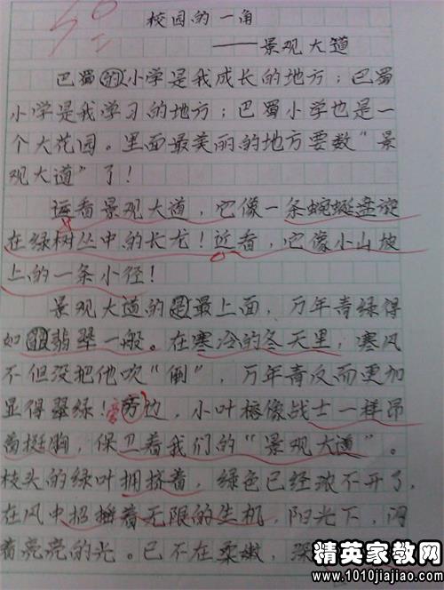 学生表现评论