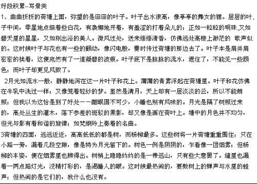 300字摘录