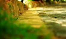 励志故事：一辈子走好一条路