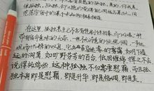 句子摘抄加赏析