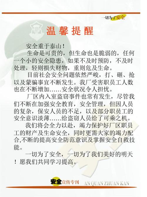 安全声明