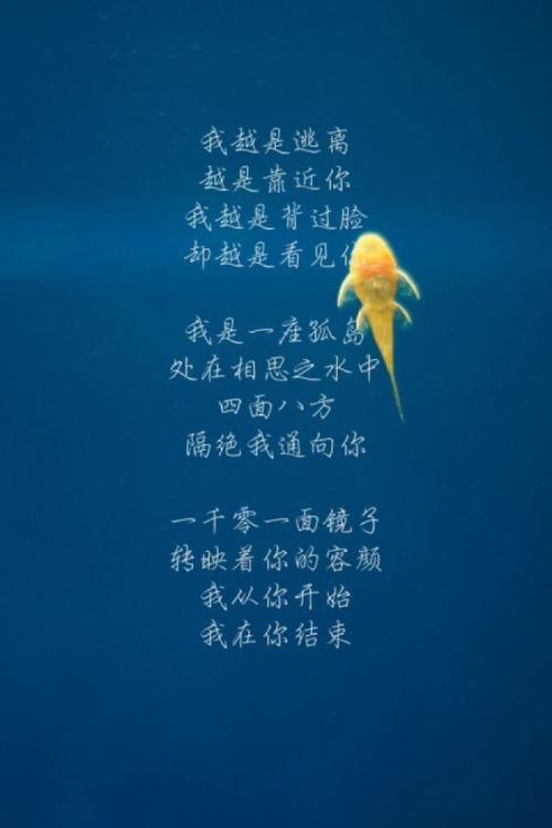 暗恋的经典句子