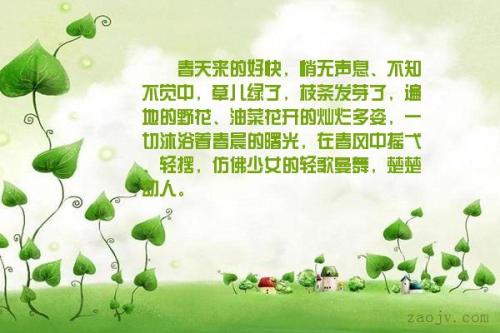 漂亮的句子