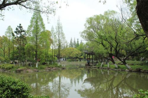 保护自然的美丽句子