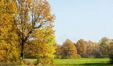 描写秋天天空的句子