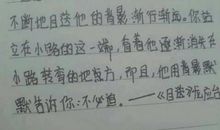 精彩片段摘抄100字