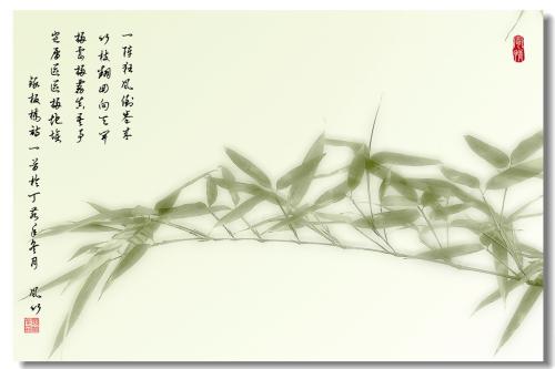 Charidfeld语录