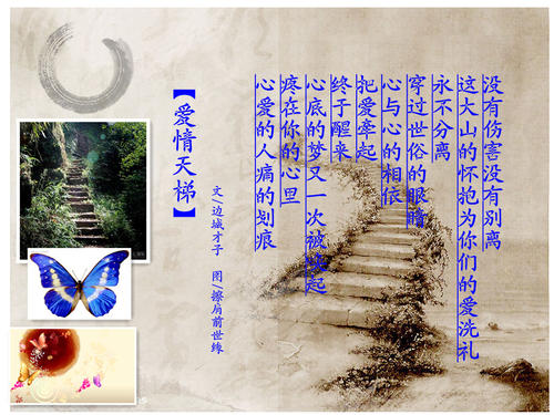 边城的主要内容
