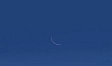 关于洒脱的句子