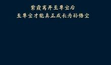 关于荣誉的优美句子