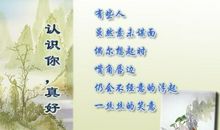 不要失去后，才懂得珍惜——《天蓝色的彼岸》有感