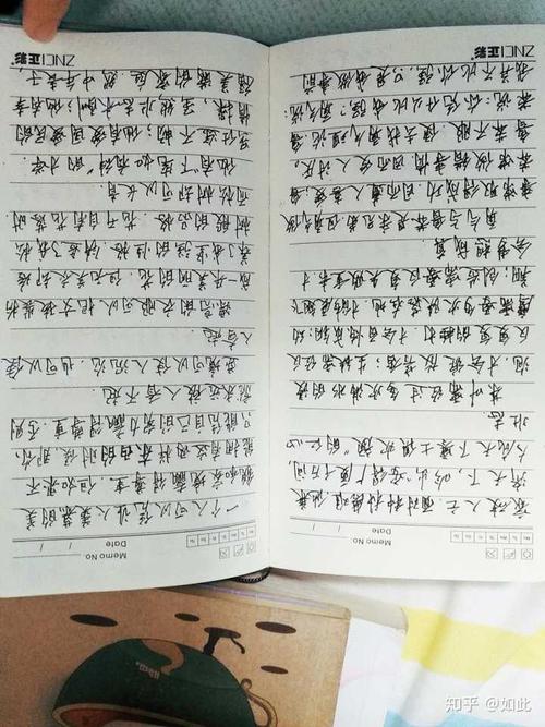 二年级作文摘录