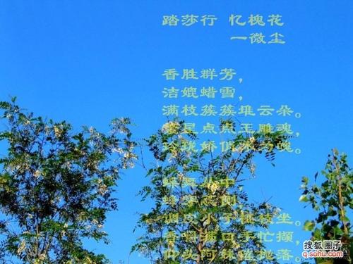 关于春天的美丽诗句