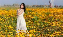 经典语录：热闹的日子看不清未来，一个人也能独自盛开