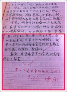 选定的成分评论