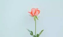 有一种快乐叫“一无所有”