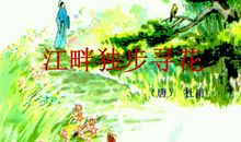 江畔独步寻花古诗