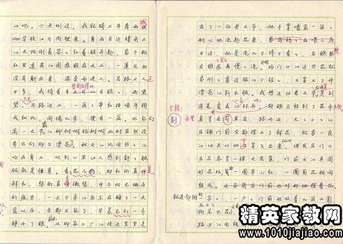 一年级论文评论