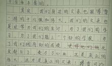 读傅雷家书有感500字