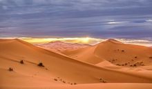 与沙漠有关的语句