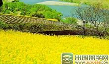 赞美春天的语句