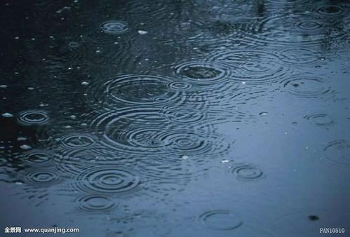 爱：下雨天拜访朋友